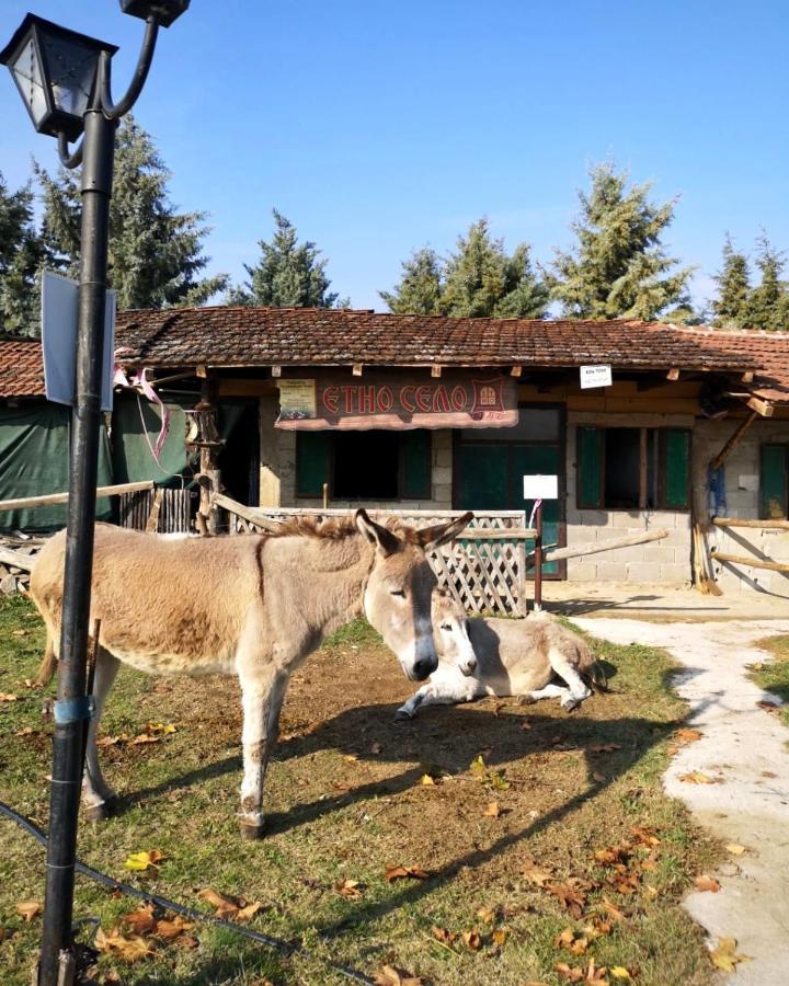 Hotel Etno Selo Timcevski Vojnik Exterior foto